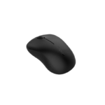 RAPOO M160 SILENT MULTI-MODE WIRELESS MOUSE(3y)